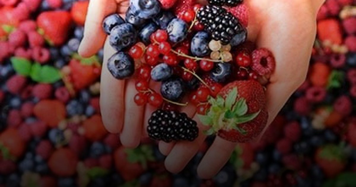 التوت يعزز الصحة عند التقدم في السن