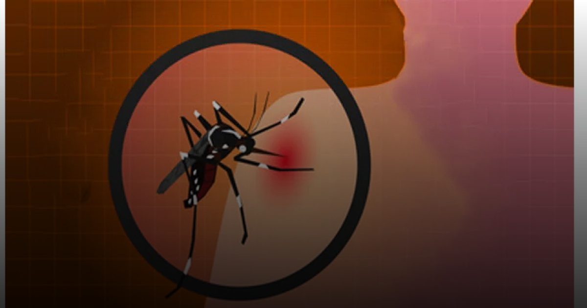 الصين تشن حرباً شاملة ضد "شيكونغونيا" بأساليب تذكر بأزمة كورونا