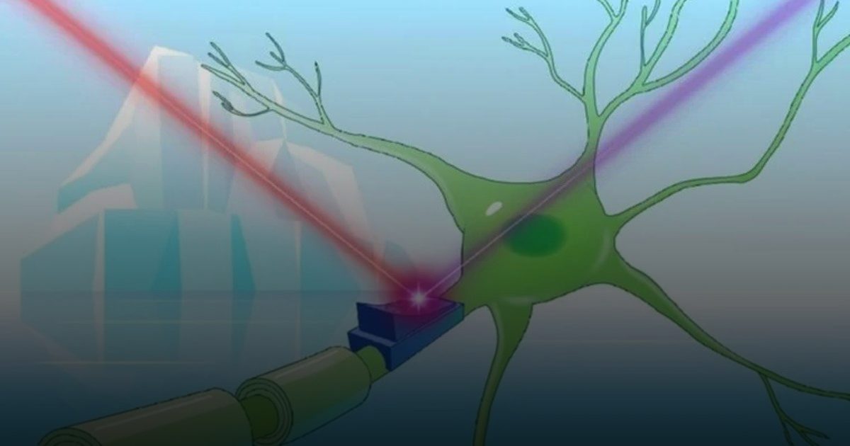 اكتشاف بروتينات زرقاء نادرة تشغل وتوقف خلايا المخ