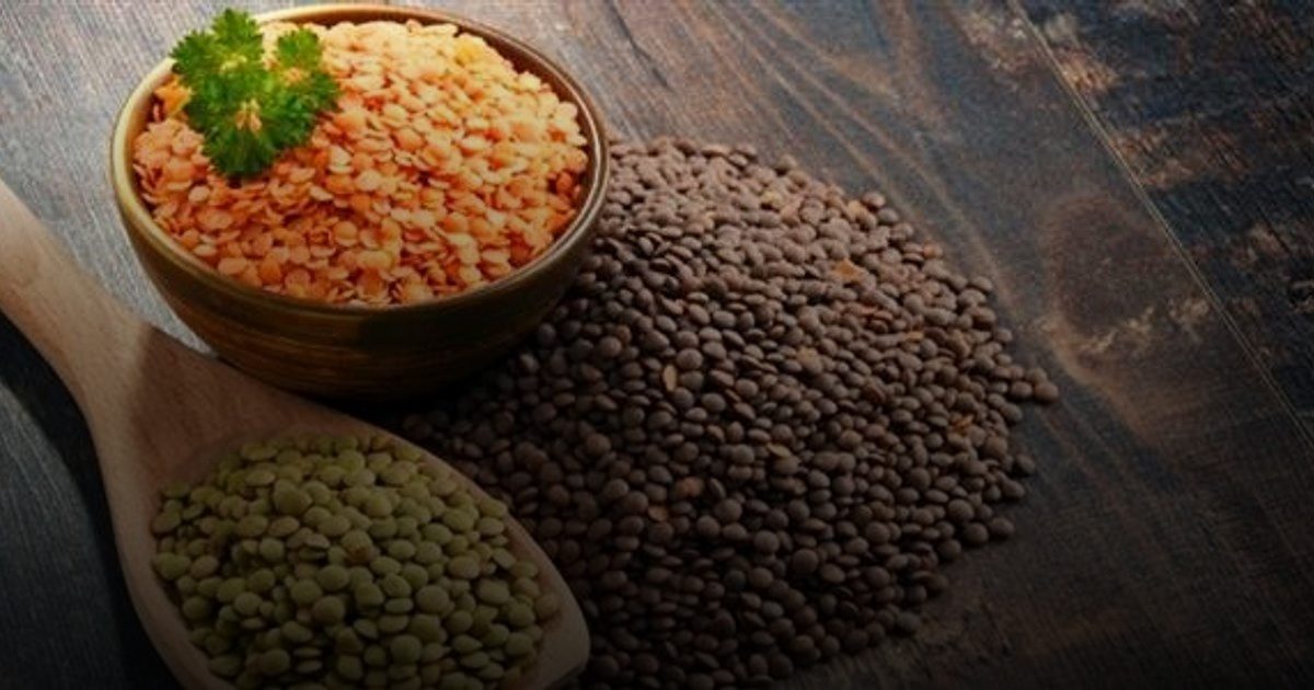 «العدس»..بديل للحوم.. وكنز للصحة