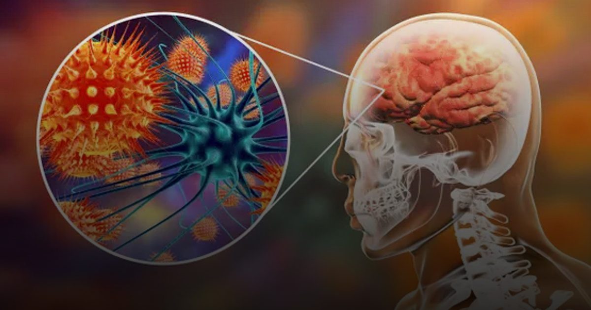 لسعات الخفافيش: فيروس "نيباه" يطل برأسه من جديد في إندونيسيا