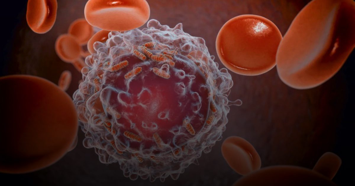 "لصوص الطاقة".. الخلايا السرطانية تجرد المناعة من سلاحها للانتشار