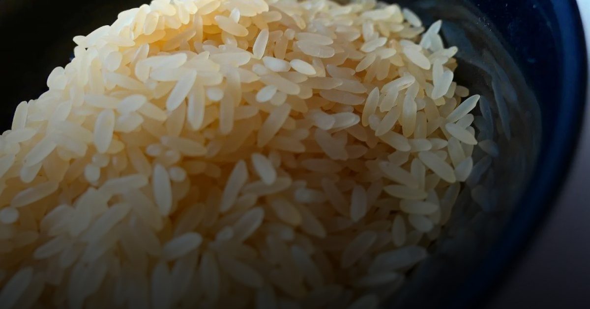 احذر من إعادة تسخين الأرز المتبقي: خطر التسمم يكمن في البكتيريا المقاومة للحرارة