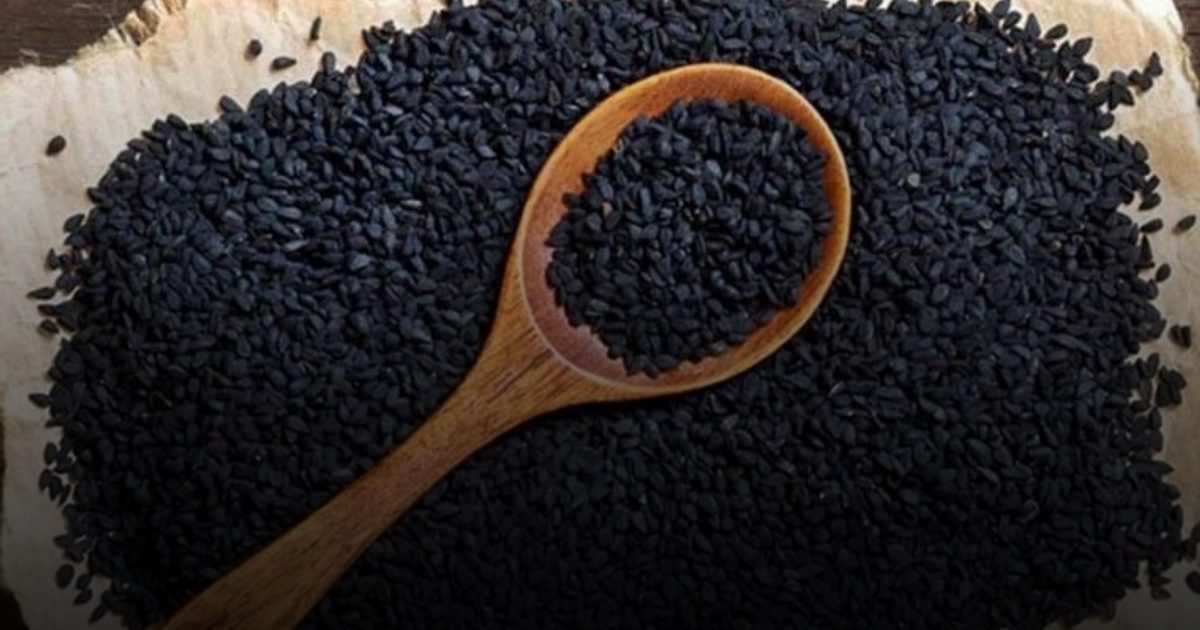 تجربة يابانية تثبت فوائد حبة البركة في خفض الدهون ومكافحة السمنة