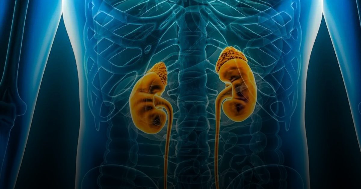 دواء جديد يحمي مرضى السكري من تلف الكلى