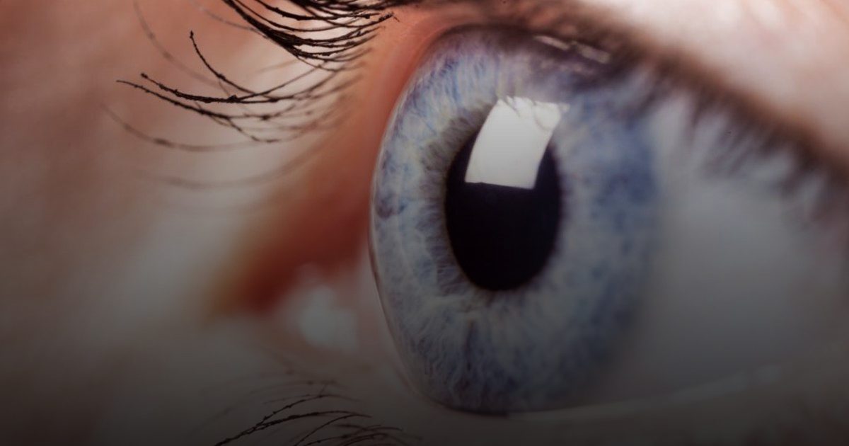 جمع 230 مليون لتطوير جهاز شبكي ثوري