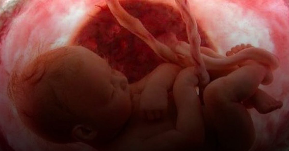 بوصلة الأمومة: خارطة الأمان بين صحة الجنين واستقرار الأم