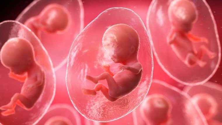 أول ولادة عبر نظام تلقيح آلي مدعوم بالذكاء الاصطناعي
