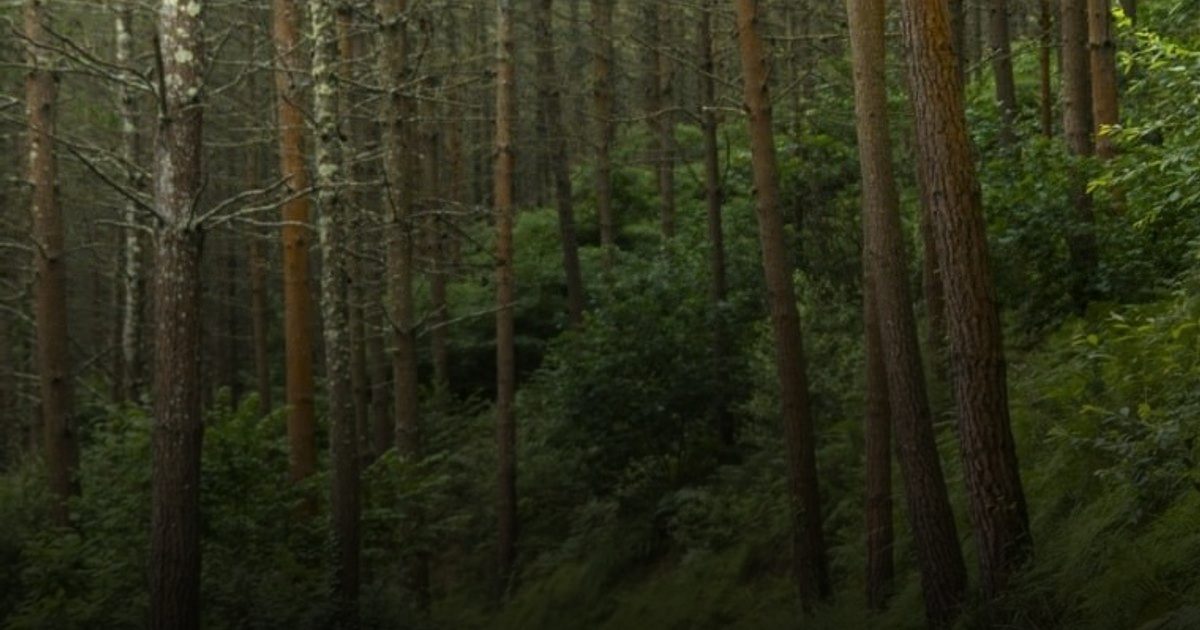 13 نوعاً من السرطان ترتبط بقلة النشاط البدني