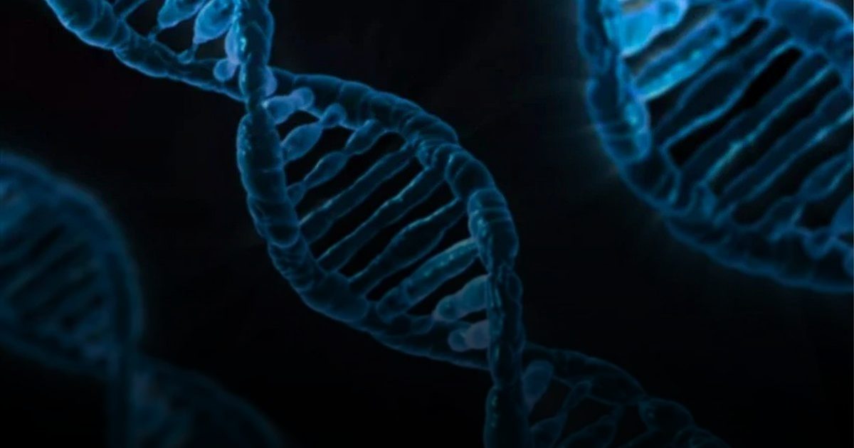 تحليل الحمض النووي يكشف كيف تغلّب السل على العلاج منذ عصر الفراعنة