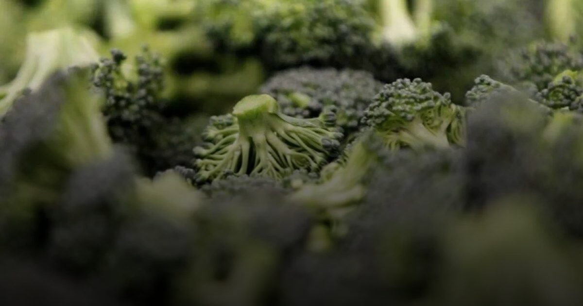 أطعمة خضراء للوقاية من مشكلات العين .. منها البروكلي والأفوكادو والسبانخ