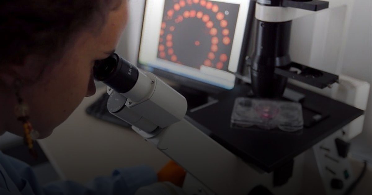 طابعة حيوية بحجم حبة الدواء.. تقنية جديدة لإصلاح قرحة ونزيف المعدة