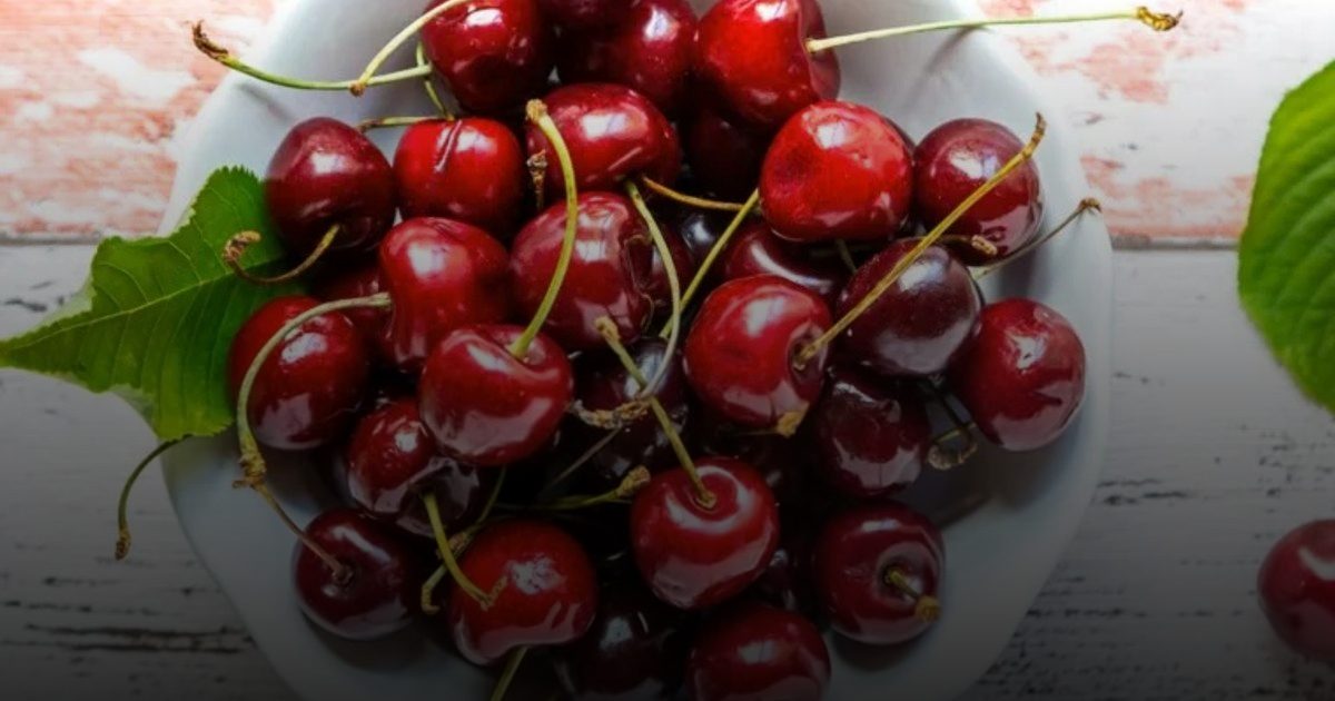 الكرز الخيار الأمثل للحصول على الميلاتونين وتحسين جودة النوم