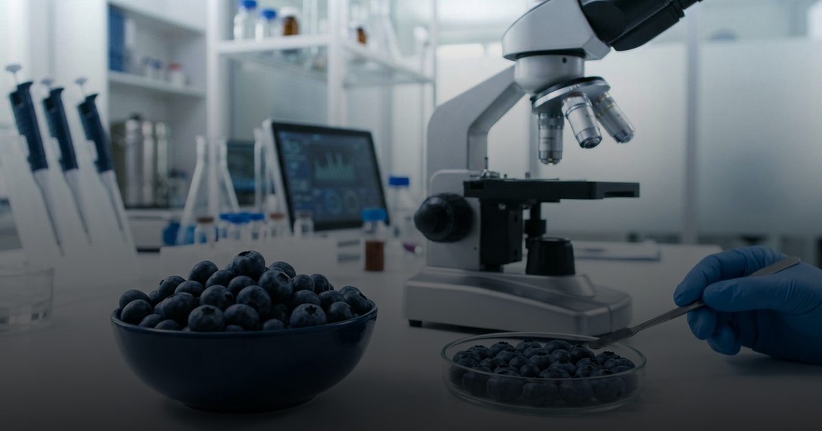 كيف يحمي التوت الأزرق الدماغ ويقاوم التلف العصبي؟