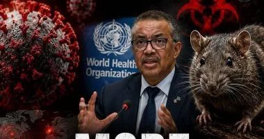 حجر 42 يوماً لطاقم سفينة فيروس هانتا الهولندية