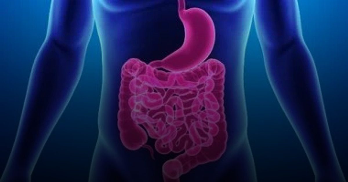 علاجات منزلية آمنة لتنظيف القولون والحفاظ على صحة الجهاز الهضمي