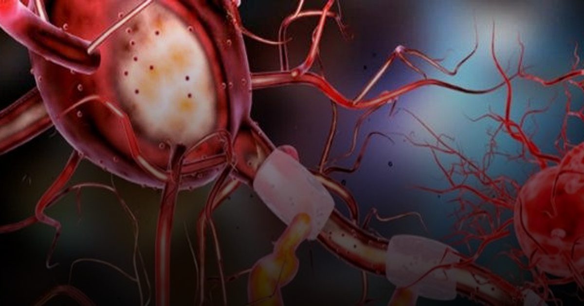 حين يكتب العمر مذكراته على غلاف الخلايا