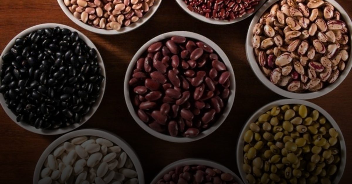 خبيرة تغذية تحدد أكثر 3 أطعمة تساعد في خفض الكوليسترول