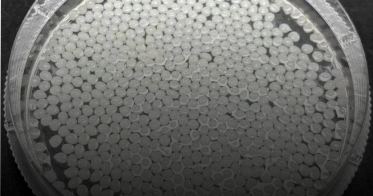 بديل طبيعي يساعد على خسارة 17% من الوزن في الصين