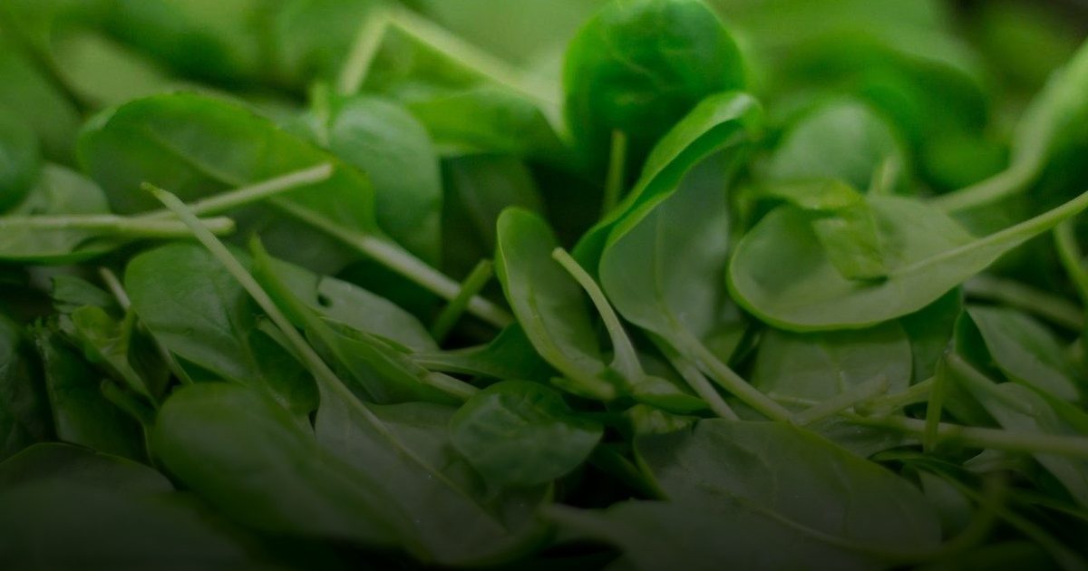 أطعمة نباتية أهمها البقوليات ترفع الهيموغلوبين ومكافحة فقر الدم