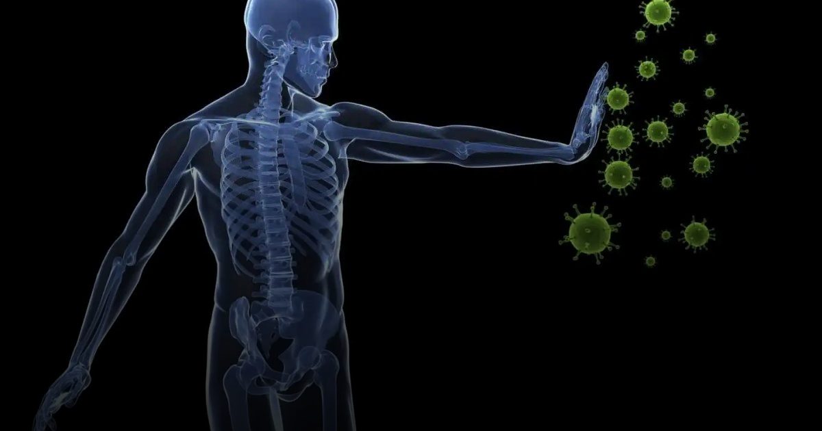 منها سرعة ضربات القلب وضعف التركيز وفقدان الوزن.. أعراض «هجمات الجهاز المناعي»