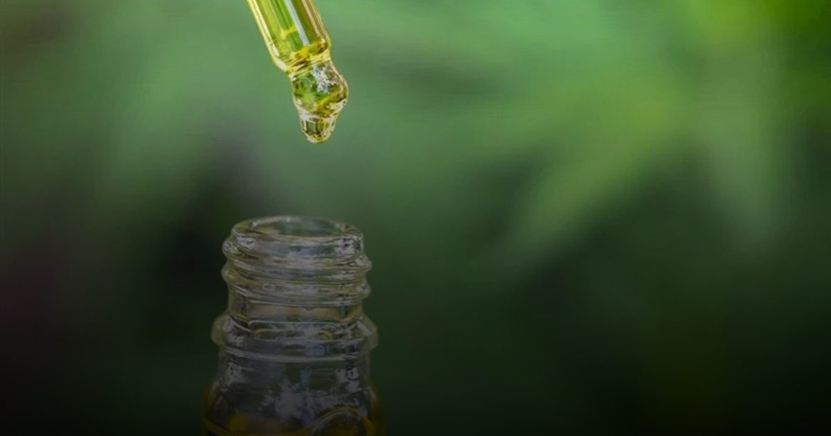 مستخلص علاجي من الماريغوانا يضاعف إنزيمات الكبد