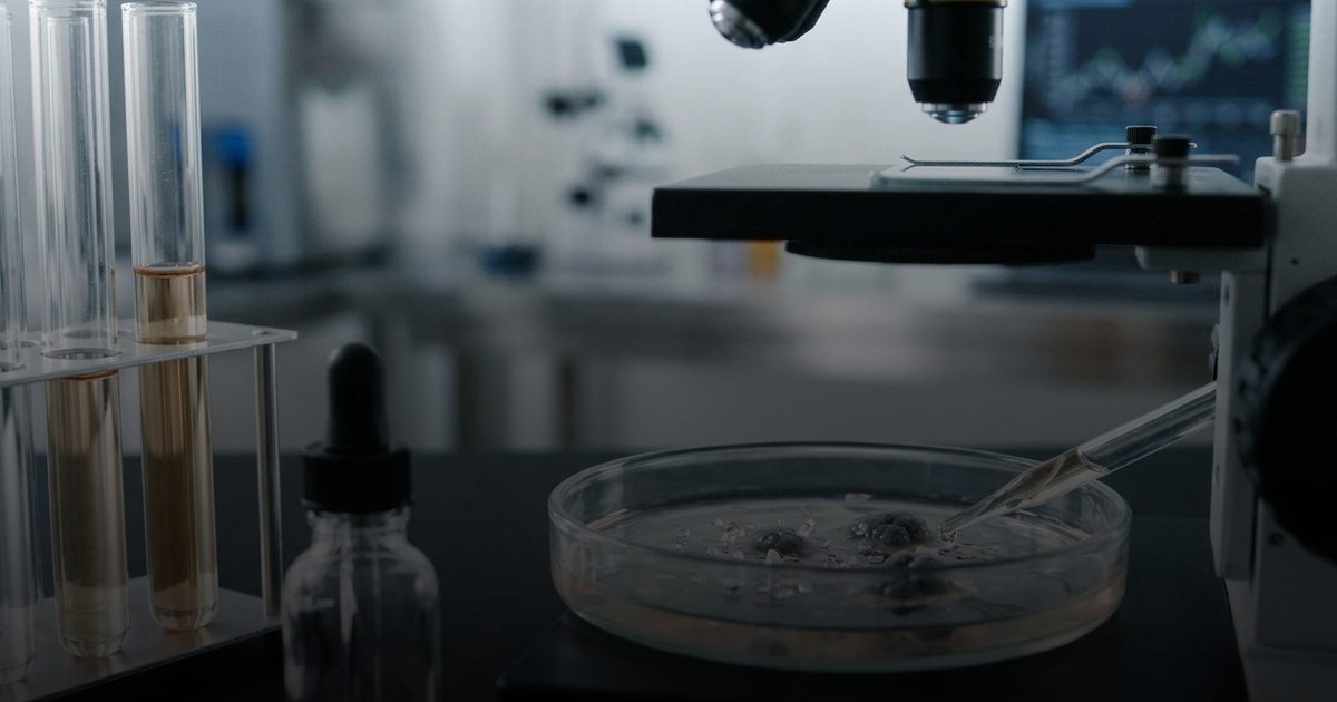 دراسة جديدة: فيتامين B3 يعزز المناعة ضد سرطان المخ