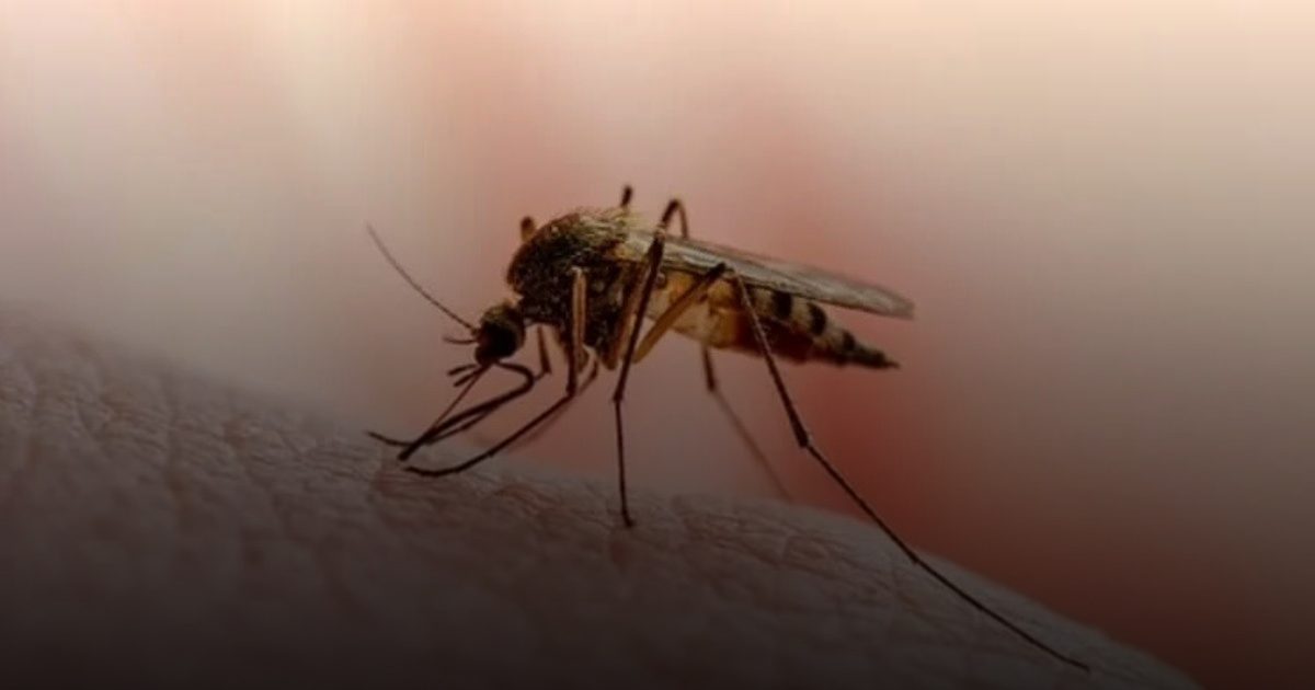 فيروس خطير يُجمد الجسد وتحذير من انتشاره في بريطانيا لأول مرة..