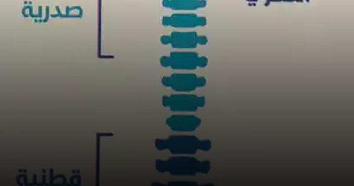 أسباب وآلام الظهر: حلول علاجية مبتكرة