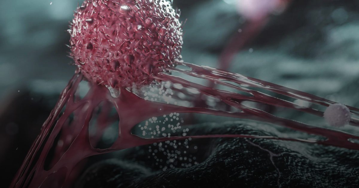 الخلايا التائية: حين يهاجم حامي الجسم ذاته..