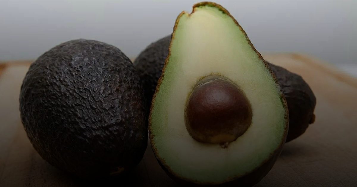 تناوُل الأفوكادو خلال الحمل يُجنِّب الرضَّع حساسية الطعام