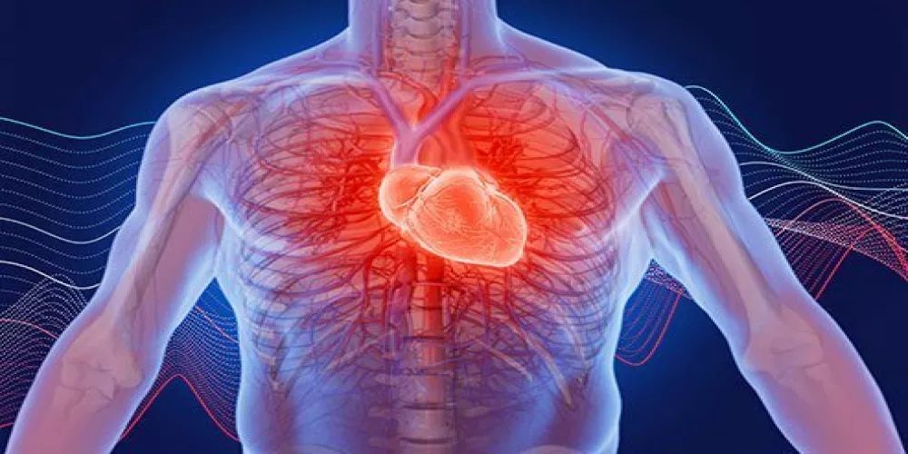 طبيب يحذر من خفقان  وتسارع ضربات القلب