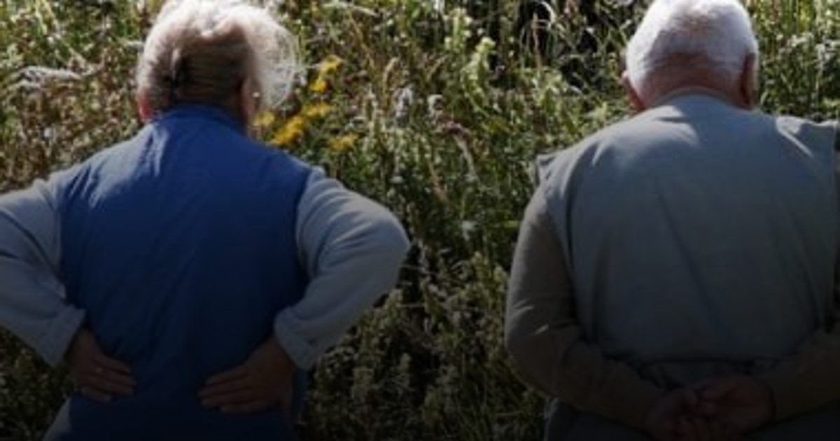 اكتشاف مكون "مضاد للشيخوخة" يساعد في إبطاء تقدم مرض الزهايمر