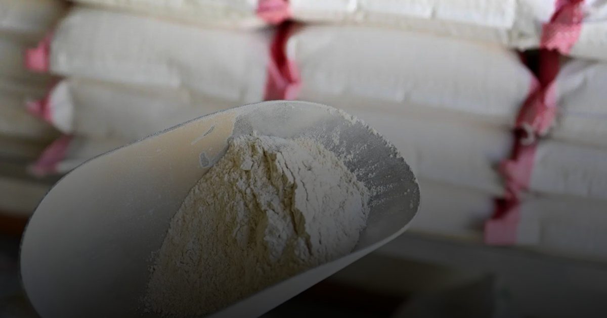 البر القصيمي غذاء صحي وشعبي مميز