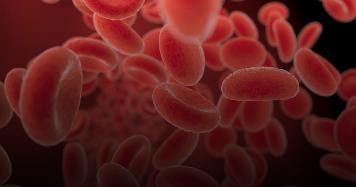 تأمين "مخزون الدم": استراتيجية طبية لتقليل مخاطر نقل الدم أثناء الولادة