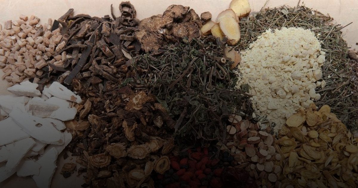 نيودلهي تستضيف القمة العالمية الثانية للطب التقليدي لدعم الرعاية الصحية الشاملة