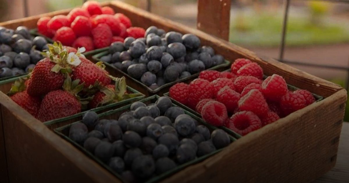 عناصر غذائية  تقلل أخطار الوفاة المبكرة!