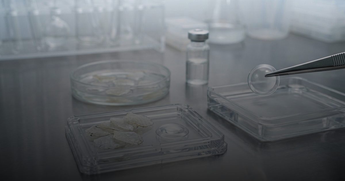 قشور الأسماك تفتح بابًا جديداً لعلاج تلف القرنية