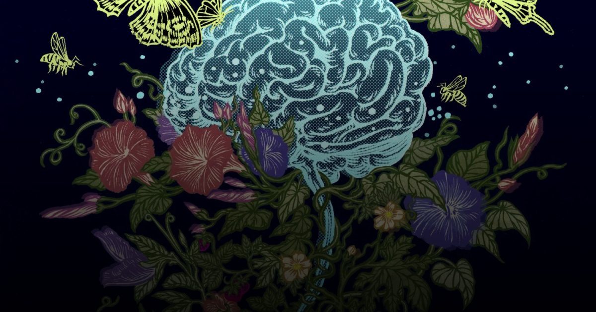 علماء يدرسون تأثيرات الإستروجين على الإصابة بالحالات العصبية