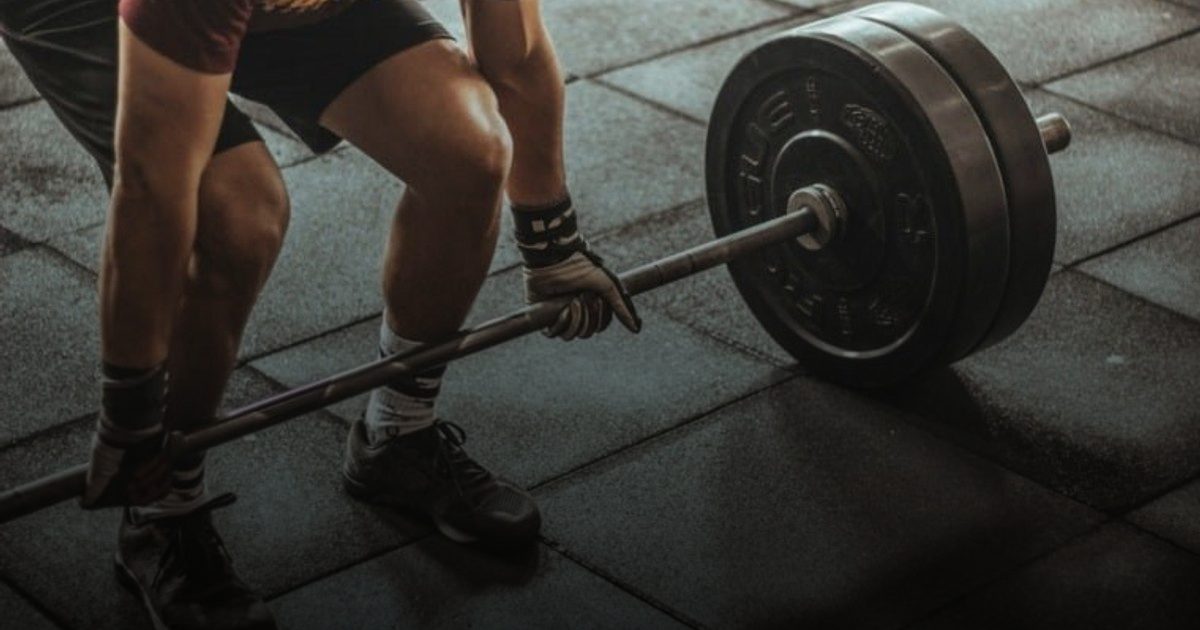 دراسة: بكتريا الأمعاء لدى الرياضيين تختلف عن عامة الناس