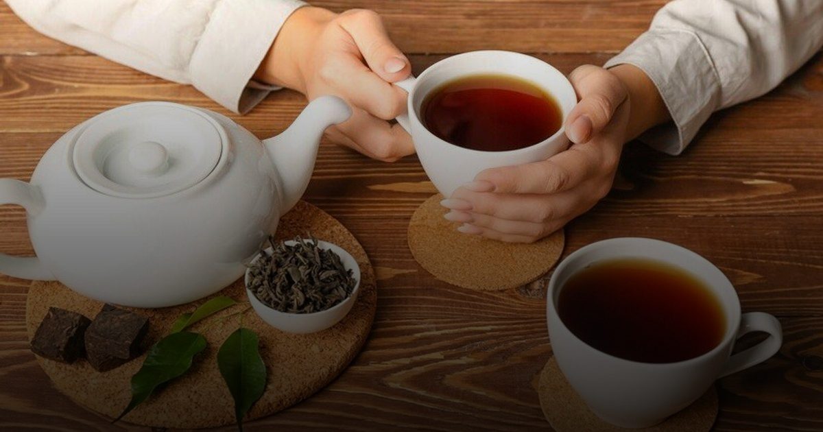 شاي "فو تشوان" الصيني: توجه طبيعي محتمل لدعم استقلاب الدهون