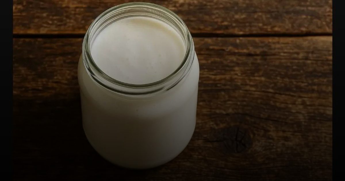 مشروب الكفير: سر طبيعي لمكافحة الشيخوخة وتعزيز المناعة