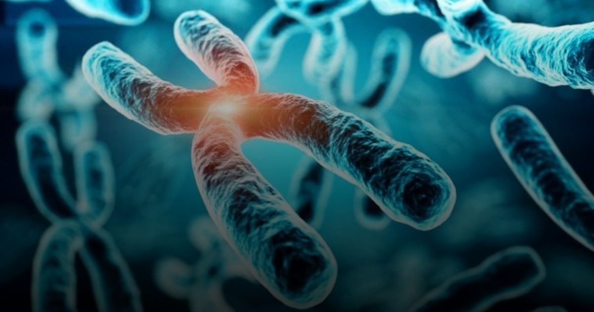 أول علاج لمرض الذئبة باستهداف الخلايا التائية