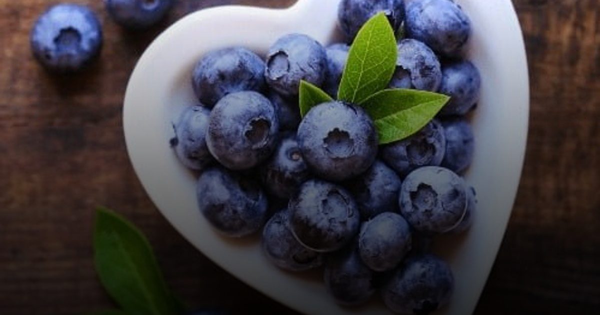 التوت الأزرق يقوي القلب ويضبط الضغط
