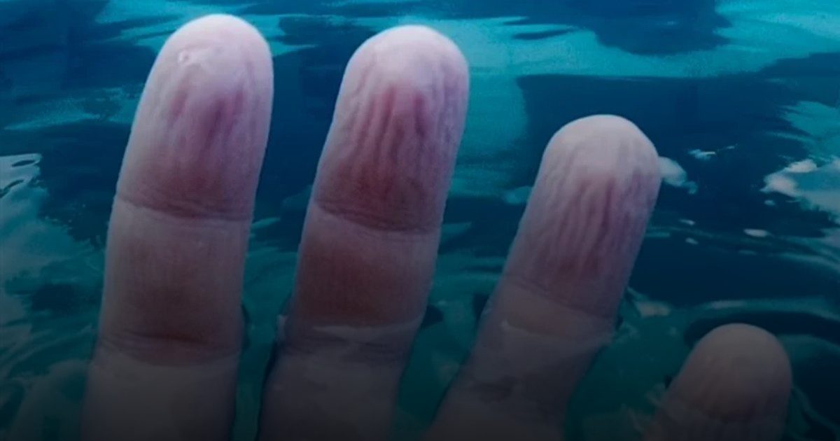 الجهاز العصبي اللاإرادي.. علماء يكتشفون حقيقة غريبة لتجعد الأصابع تحت الماء