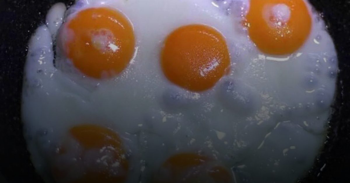 "شمس في طبق".. صفار البيض يتحول إلى "خزان طبيعي" لفيتامين (د) في 2026