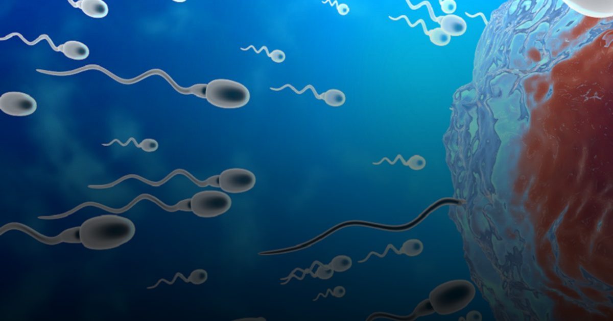 تقلبات الفصول وتأثيرها على حركة الحيوانات المنوية