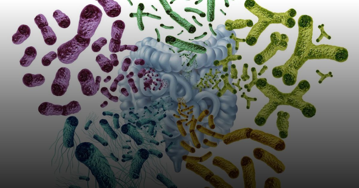 الأمعاء الصحية تنظم ضغط الدم: دراسة أمريكية تؤكد دور "الميكروبيوتا" في حماية القلب