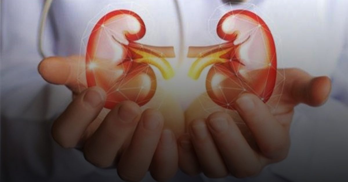 اختبارات الدم والبول تحدد علامات ضعف الكلى.. نصائح لتجنب الفشل الكلوي