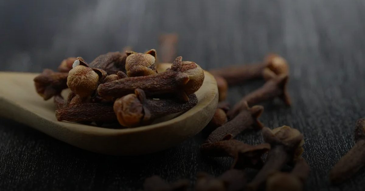 مضغ فص قرنفل يومياً.. دفاع طبيعي ضد الالتهابات وتنظيم سكر الدم